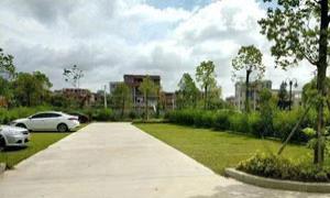 福建曾埭村：乡村振兴驶入快车道