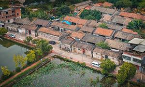 广州市黄埔区：新旧交融 古村落焕发新风采