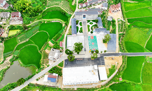 横山头村:“农业工业”同发力 “强村富民”闯新路