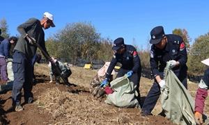 警民携手促秋收 人参满溢丰收情
