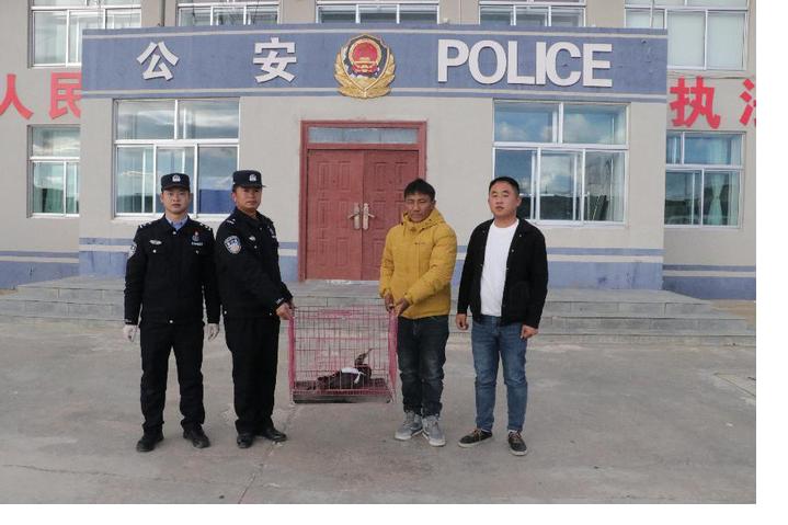 “鱼鹰”断翅 警民携手救助.jpg