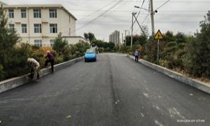 河南洛阳：人大代表助力修路暖民心解民忧