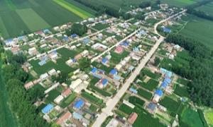 扶余市：“党建＋N”模式跑出乡村振兴加速度