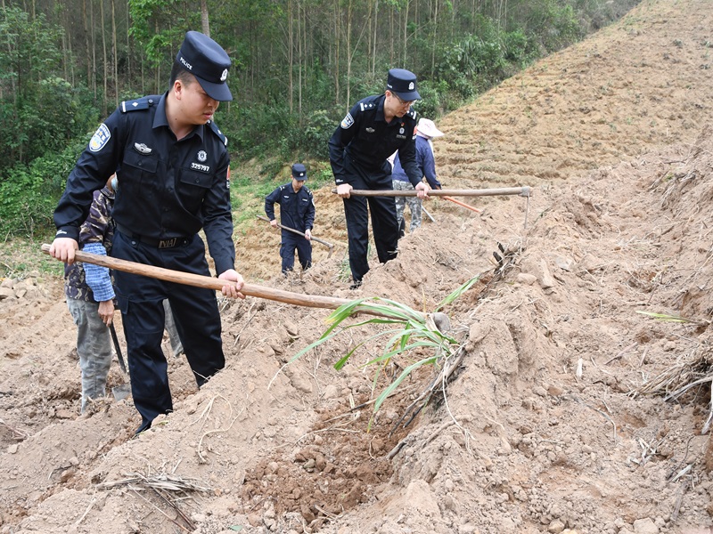 北山边境派出所民警与寨安乡下店村边民群众许阿姨户一起携手春耕春种甘蔗.JPG