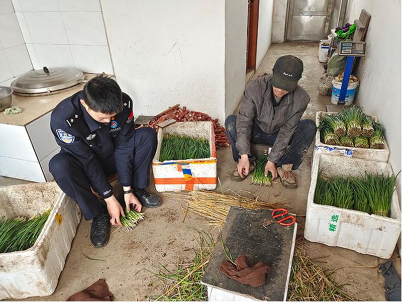 情牵万家筑堡垒 枝叶关情展“峰”芒.jpg