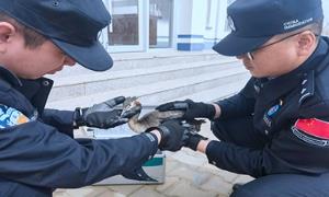 巴音乌兰边境派出所成功救助国家“三有”重点野生保护动物