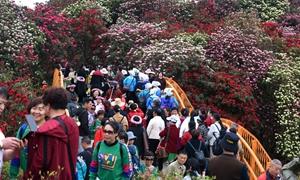  探索“非遗+旅游”模式 打造贵州文旅新名片