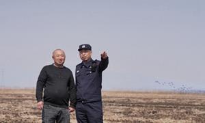 十七年守护“候鸟家园”