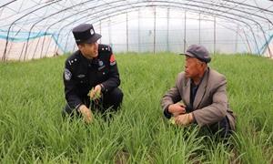 枝叶关情 情牵万家