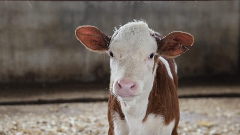 f5dd8e7cece442cfeebd0e8faa269c80.jpg f5dd8e7cece442cfeebd0e8faa269c80.jpg