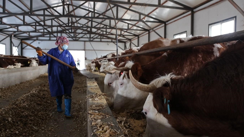 0653682b5657a586a8b4172c59d45a48.jpg 0653682b5657a586a8b4172c59d45a48.jpg