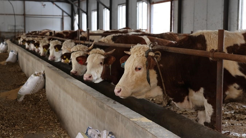 55f6ba44619d30506a9e372335729958.jpg 55f6ba44619d30506a9e372335729958.jpg