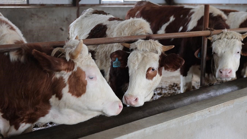 646c3cd17829c3915d9a1cce579abc01.jpg 646c3cd17829c3915d9a1cce579abc01.jpg