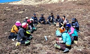 帕里边境派出所多措并举开展边境辖区虫草采挖安保及普法宣传活动