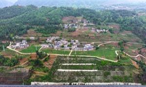 还山村:红绿相彰 打造特色田园乡村见闻