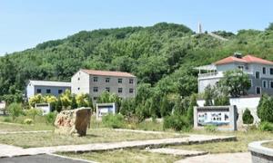 里三村:“红绿相融”绘就乡村振兴新画卷