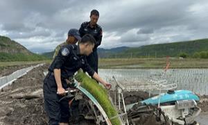警民一心齐上阵 助力农忙暖民心