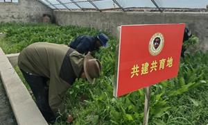 多玛边境派出所与多玛村党总支携手打造“共建共育地”