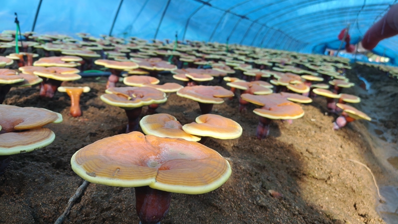 微信图片_20240723103916.jpg 微信图片_20240723103916.jpg