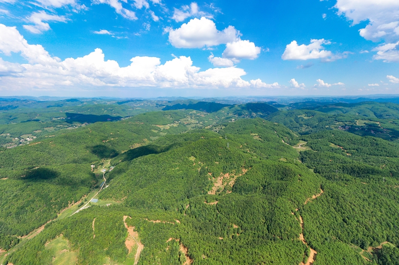 9月5日，哲觉镇林海远景。（岳刚 摄）.jpg