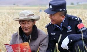 在田间地头传递党的声音  秋收宣讲两不误