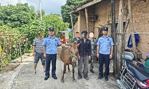 板烂边境派出所巧用无人机为群众找回走失马匹