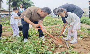 郧阳区开展全国科普日暨中国农民丰收节科普活动