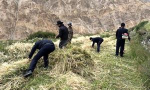 我为群众办实事 助农秋收解民忧
