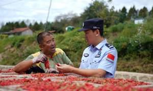 警民同心，护航金秋丰收季