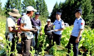 反诈宣传“进田间” 守护烟农“钱袋子”