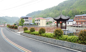 岩门溪村：乘帮扶东风 扬振兴之帆