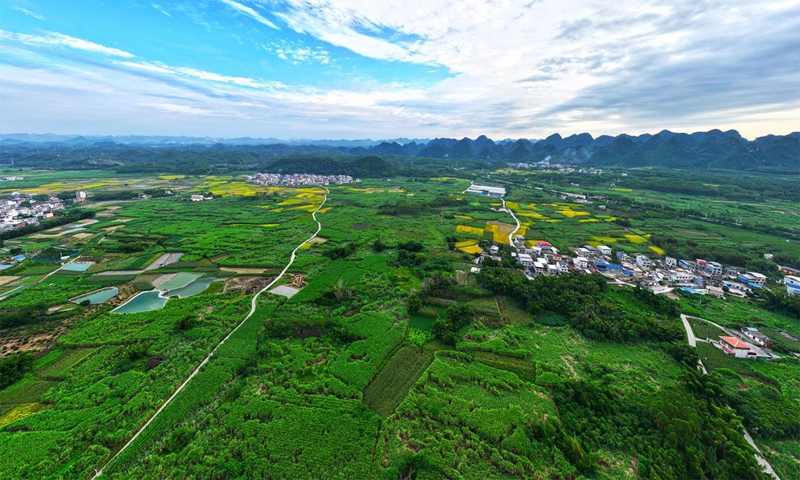 智能监测桑树生长宜州绿色桑园（喻湘泉 摄）.jpg