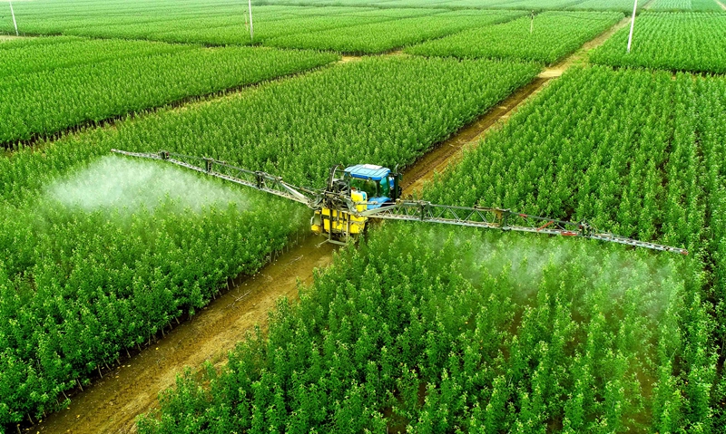 73.宜阳县莲庄镇沙坡头村矮化苹果育苗基地,工人正在运用大型喷雾机械进行出苗前的病虫害作业。以产业兴旺促乡村振兴。高山岳摄.jpg 73.宜阳县莲庄镇沙坡头村矮化苹果育苗基地,工人正在运用大型喷雾机械进行出苗前的病虫害作业。以产业兴旺促乡村振兴。高山岳摄.jpg