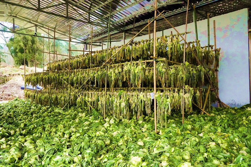 正在晾晒的建南咸菜（受访者供图）.jpg