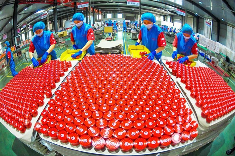 在品源公司的智能化生产车间,工人们正在生产香菇酱产品.jpg 在品源公司的智能化生产车间,工人们正在生产香菇酱产品.jpg