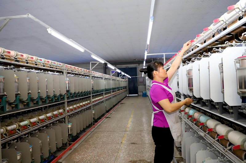 自动化织绸车间(邓蕾雅 摄).jpg 自动化织绸车间(邓蕾雅 摄).jpg