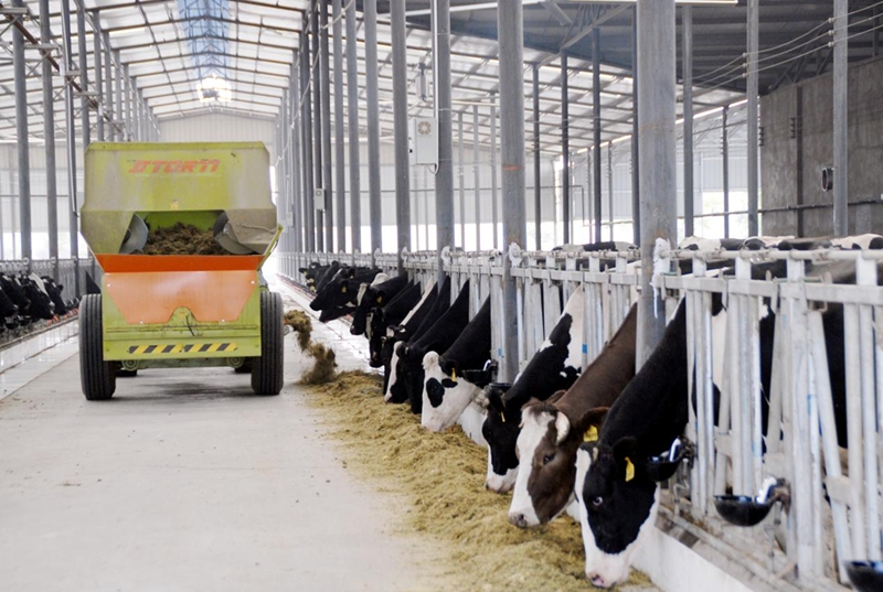 孟津君荷牧业.jpg 孟津君荷牧业.jpg