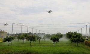 院士领航 智赋八桂 广西科技深耕现代农业高质量发展