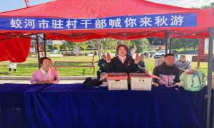 蛟河市白石山镇：薯香漫山乡 地瓜变“金方”