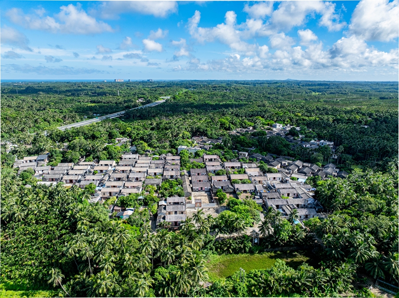 微信图片_20251120104149_113_434.jpg 微信图片_20251120104149_113_434.jpg