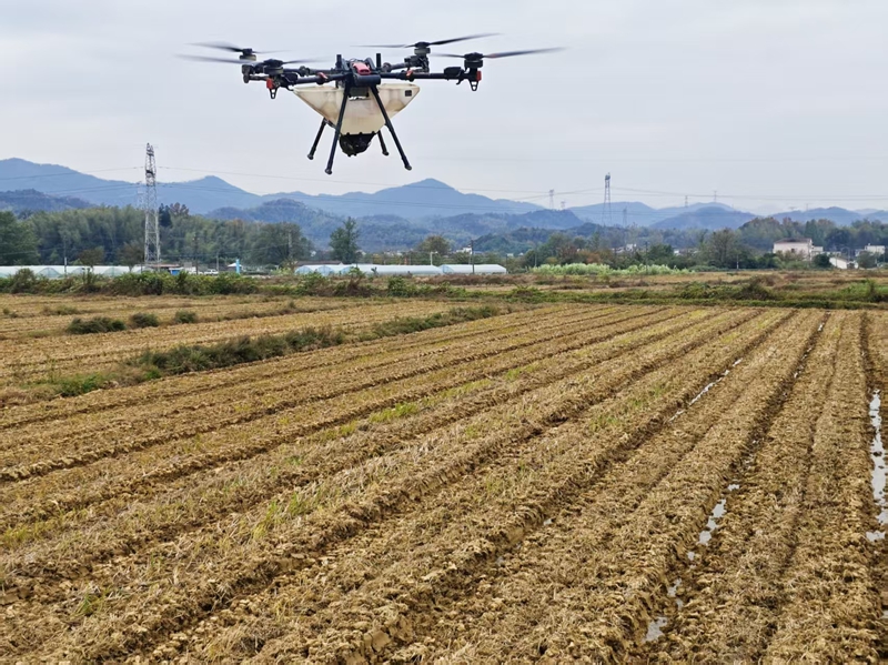 微信图片_20251117140500_19_187.jpg 微信图片_20251117140500_19_187.jpg