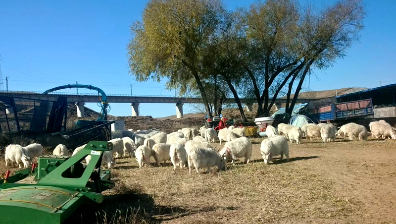 微信图片_20251112171535_40_71.jpg 微信图片_20251112171535_40_71.jpg