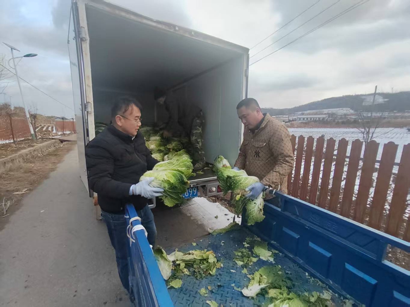 图3:驻村干部和爱心人士帮助将白菜搬到到厢货车上.jpg 图3:驻村干部和爱心人士帮助将白菜搬到到厢货车上.jpg