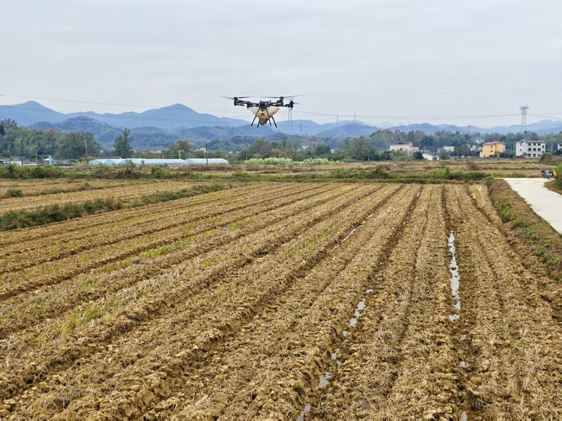 微信图片_20251117140516_22_187.jpg 微信图片_20251117140516_22_187.jpg