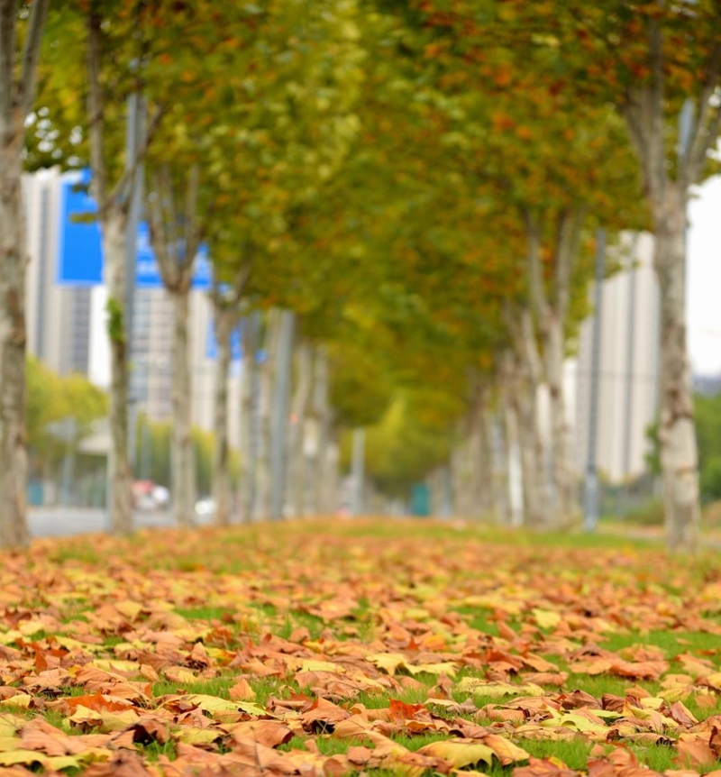 图片2.jpg 图片2.jpg