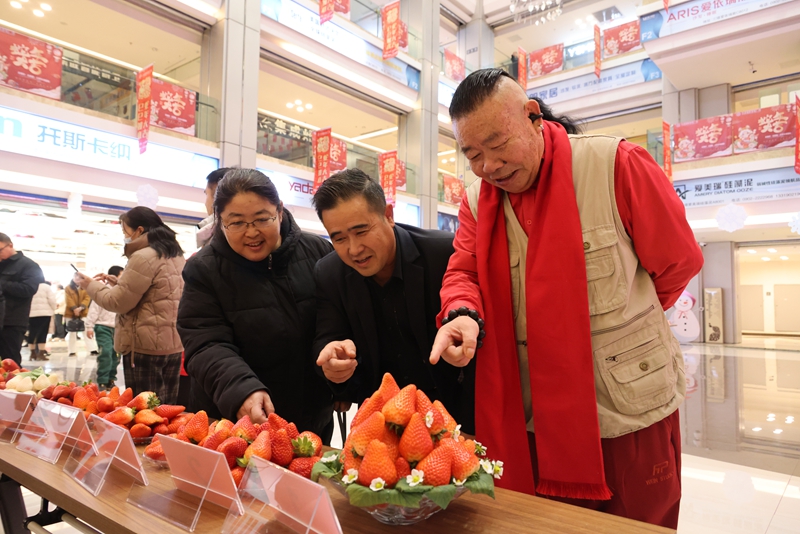 2025年1月18日,在新疆生产建设兵团第十三师新星市“消费助农 福满新星 ”草莓消费季活动现场,游客在参加“草莓皇后”评选活动。张国锋摄.jpg 2025年1月18日,在新疆生产建设兵团第十三师新星市“消费助农 福满新星 ”草莓消费季活动现场,游客在参加“草莓皇后”评选活动。张国锋摄.jpg