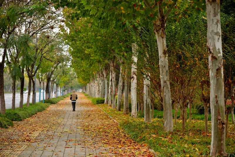 图片1.jpg 图片1.jpg