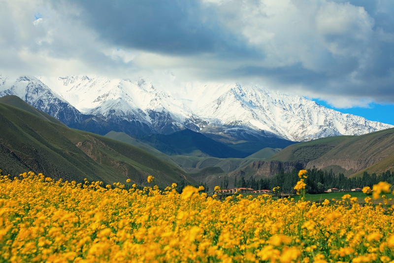 新疆生产建设兵团第十四师昆玉市一牧场风景。 刘秋月摄.jpg 新疆生产建设兵团第十四师昆玉市一牧场风景。 刘秋月摄.jpg
