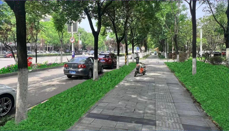 图片1.jpg 图片1.jpg