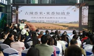 品牌价值达145亿的广西宾阳县古辣香米产品推介暨品牌形象发布会在南宁举行